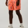 Rosane Scotch & Soda Mid Length - Printed Swimshort