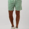 Grüne Scotch & Soda Mid Length - Batik Stripe Printed Swimshort -Selected Homme Verkäufe 241133 1