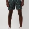 Grüne Shiwi Men Swimshort Clownfish