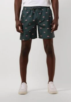 Grüne Shiwi Men Swimshort Clownfish