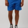 Blaue Shiwi Men Swimshort Recycled Mike -Selected Homme Verkäufe 249029 1