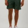 Dunkelgrün Shiwi Men Swimshort Recycled Mike -Selected Homme Verkäufe 249032 1